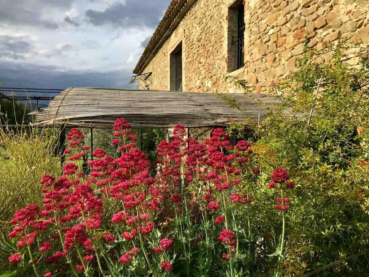 La Demoiselle Villa Puy-Saint-Martin Exteriör bild